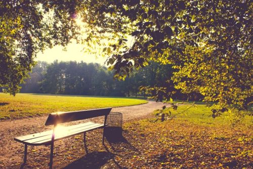 A minőségi parkberendezés előnyei – Tegyen a kültéri közösségi terek kényelméért! 